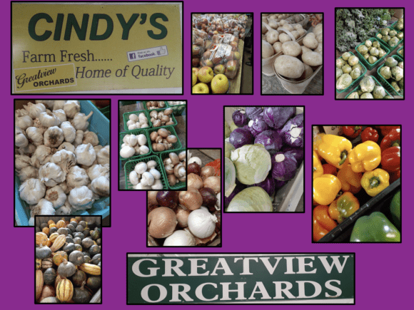 CINDY’S FARM FRESH…GREATVIEW ORCHARDS