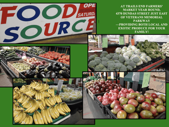 FOOD SOURCE