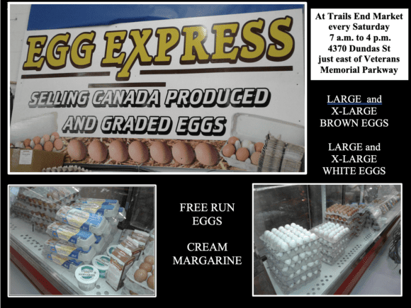 EGG EXPRESS