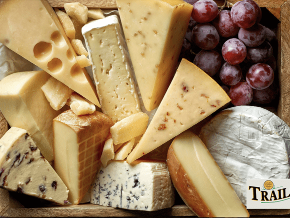 PERFECT CHEESE–JANZTI’S CHEESE
