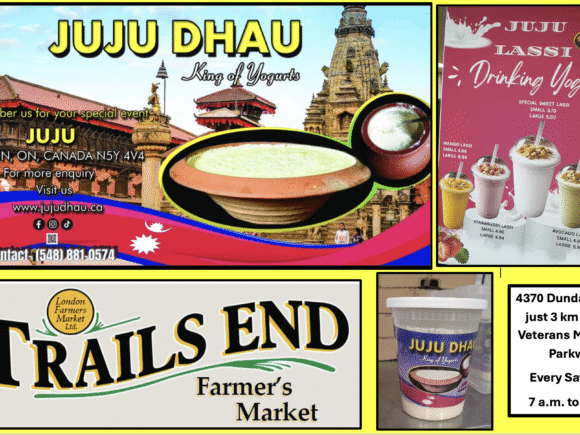 JUJU DHAU